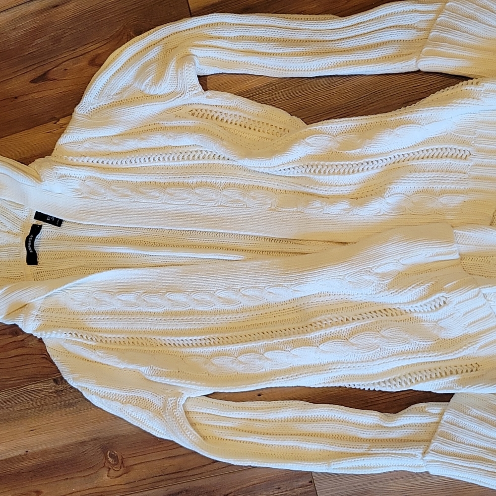 Express Sweater Hoodie
